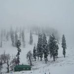 IndiGo Crisis: पांच दिनों में इंडिगो की 2000 से ज्यादा उड़ानें रद्द हुईं,3 लाख से ज्यादा यात्री परेशान