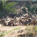 छत्तीसगढ़ के शासकीय मेडिकल कॉलेज अस्पतालों में मरीजों के परिजनों के लिए बनेंगे विश्राम गृह