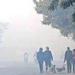 साहित्य-साधना हेतु सुषमा प्रेम पटेल को किया गया सम्मानित