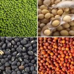 बांग्लादेश में हिन्दुओं पर फिर हुआ अत्याचार ,विधवा के साथ बलात्कार के बाद आरोपियों ने पेड़ से बांधकर काट दिए बाल