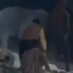 आज शाम 7 से इंडिया-न्यूजीलैंड मैच का टिकट मिलेगा, 23 जनवरी को खेला जाएगा रायपुर में