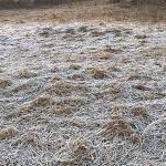 दिसम्बर 2025 में छत्तीसगढ़ के बिजलीघरों के सर्वाधिक पीएलएफ का कीर्तिमान