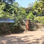 इंदौर में दूषित पानी कांड,पीड़ितों से मिलने भागीरथपूरा पहुंचे राहुल गांधी,सरकार पर लगाए गंभीर आरोप