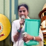 कोरबा धान खरीदी केंद्र में हाथी की दस्तक ने मचाई तबाही , दहशत में कर्मचारी और ग्रामीण