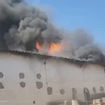 टाइगर रिजर्व से बाहर बाघिन की हलचल, मवेशी को बनाया अपना शिकार ,ग्रामीणों में सतर्कता बढ़ी