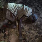 हाथी ने मचाई दहशत : लकड़ी लेने गए बुजुर्ग को हाथी ने उतारा मौत के घाट, हाथियों की मौजुदगी गांवों में सन्नाटा