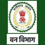 ऑल-न्यू निसान ग्रेविट: दमदार डिजाइन और भारतीय सड़कों के लिए तैयार