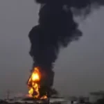 Big News : बिलासपुर में बर्ड फ्लू की दस्तक, मुर्गी-अंडे की बिक्री पर प्रतिबंध, प्रशासन अलर्ट