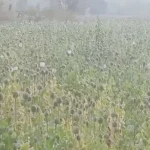 इंटेलिजेंस चीफ अमित कुमार एडीजी पद के लिए केंद्र में इम्पैनल, भारत सरकार ने जारी किया आदेश