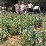 छत्तीसगढ़ में जल क्रांति का नया अध्याय: जल जीवन मिशन 2.0 पर ऐतिहासिक एमओयू