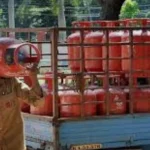 जंगल में दो हाथी शावकों की लाश मिलने से हड़कंप, वन विभाग जांच में जुटा