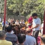 सोलर प्रोजेक्ट के नाम पर बड़ा फर्जीवाड़ा: रायपुर के वकील से 1.33 करोड़ की ठगी