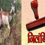 ACB का बड़ा एक्शन: नगर पालिका में छापा, रिश्वत लेते अकाउंटेंट गिरफ्तार, CMO से पूछताछ