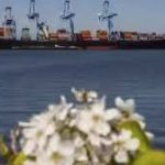 Breaking : आंध्र प्रदेश में भीषण सड़क हादसा: बस-लॉरी टक्कर के बाद लगी आग, जिंदा जल गए’14 यात्री