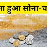 CM Vishnu Deo Sai ने पत्नी Kaushalya Sai को दी जन्मदिन की शुभकामनाएँ, कहा—35 साल से हर सुख-दुख में साथ