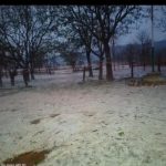 विकसित छत्तीसगढ़ के अधोसंरचना निर्माण में विशिष्ट योगदान देने की भूमिका में हाऊसिंग बोर्ड