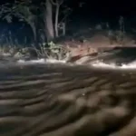 25 मार्च से होगी खेलो इंडिया ट्रायबल गेम्स 2026 की शुरुआत, 3800 प्रतिभागी होंगे इस खेल का हिस्सा