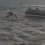 CG ट्रांसफर ब्रेकिंग: परिवहन विभाग में बड़ा फेरबदल, कई जिलों के अफसरों के तबादले