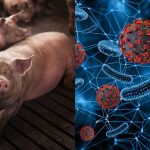 छत्तीसगढ़ में नया धर्म स्वातंत्र्य कानून पर राज्यपाल ने किए हस्ताक्षर ,धर्मांतरण पर सख्त कार्रवाई का प्रावधान