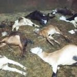 तेलंगाना हाईकोर्ट: पवन खेड़ा को राहत, एक हफ्ते की अग्रिम जमानत मिली