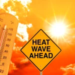 पंचायती राज संस्थाओं को सशक्त बनाकर विकसित भारत की नींव को मजबूत कर रही है हमारी सरकार : मुख्यमंत्री विष्णु देव साय