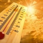 आज का राशिफल 24 अप्रैल : तुला, वृश्चिक और धनु राशि वालों को करियर में भाग्य का साथ मिलेगा, जाने अपना भविष्यफल