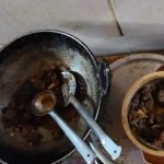 मरवाही के जंगल में दिखा दुर्लभ सफेद भालू, हमले से इलाके में दहशत