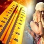 छत्तीसगढ़ क्रिकेट को नई पहचान दिला रहा सीसीपीएल : बलदेव सिंह भाटिया
