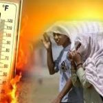 CSIDC बोर्ड बैठक में बड़े फैसले: बालोद में नया उद्योग केंद्र, राजनांदगांव में इंडस्ट्रियल फैसिलिटेशन कॉम्प्लेक्स को मंजूरी