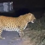 Breaking : दुर्ग में सामूहिक आत्महत्या का हृदयविदारक घटना, बच्चों को जहर देकर पति-पत्नी ने लगाई फांसी