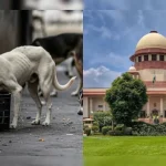 रायपुर में डोर-टू-डोर कचरा कलेक्शन फिर तेज, रामकी कंपनी के 95% हड़ताली कर्मचारी काम पर लौटे