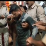 जंगल में मधुमक्खियों का कहर: सास-दामाद पर झुंड का हमला, बुजुर्ग महिला की मौत