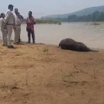 पश्चिम बंगाल में भाजपा सरकार का पहला मंत्रिमंडल विस्तार, 35 नए मंत्रियों ने ली शपथ