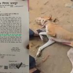 आश्रम-छात्रावासों में अब मिलेगी पोषण की नई सौगात: 1000 परिसरों में बनेंगी ‘पोषण वाटिकाएं’, बच्चों को मिलेंगे ताजे फल और सब्जियां