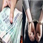 छत्तीसगढ़ में UCC लागू करने की तैयारी, शीतकालीन सत्र में आएगा समान नागरिक संहिता विधेयक: CM साय
