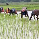 लंबित मांगों को लेकर फिर सड़क पर उतरे स्वास्थ्यकर्मी, रायगढ़ में रैली निकाल CM के नाम सौंपा ज्ञापन