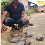 बालोद में कृषि विभाग की बड़ी कार्रवाई, अवैध कृषि सामग्री से भरा गोदाम सील
