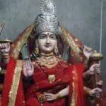 आवारा कुत्तों पर सख्ती: छत्तीसगढ़ में 34 एबीसी सेंटर, 30 हजार से अधिक कुत्तों की नसबंदी