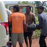 कवर्धा में चीतल का शिकार करने वाले 7 शिकारी गिरफ्तार, जंगल में मांस पकाते दबोचे गए; भेजे गए जेल