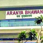 चार दिन बाद उफनते नाले से निकली कार, पूर्व सरपंच और पत्नी के शव बरामद, हाथों में हाथ थामे ली आखिरी सांसें
