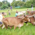 राज्य हज निरीक्षक हेतु ऑनलाइन आवेदन आमंत्रित : मिर्ज़ा एजाज बेग