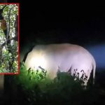 अर्थशास्त्र अध्ययनशाला में नवप्रवेशित विद्यार्थियों के लिए इंडक्शन कार्यक्रम, अनुशासन और निरंतर प्रयास का दिया संदेश