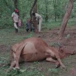 थाईलैंड के स्कूल में गोलीबारी: 6 की मौत, 15 घायल; छात्र पर फायरिंग का आरोप
