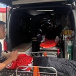 मोहला-मानपुर में फिर बाघ की दस्तक: खेत में बैल पर हमला, वनकर्मियों का भी हुआ आमना-सामना