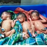 तीज के रंग में रंगा रायपुर प्रेस क्लब, लक्ष्मी राजवाड़े ने रैंप वॉक कर बढ़ाया महिला पत्रकारों का उत्साह